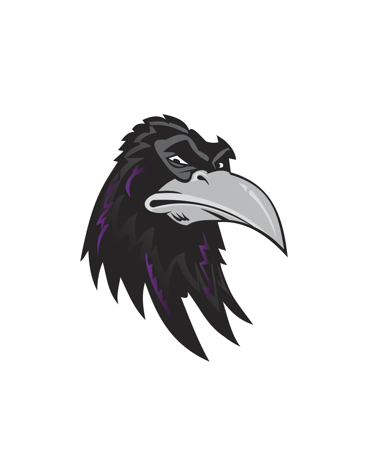 Chateauguay Raven juste le logo